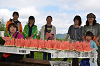 DSC_4071_thumb.png