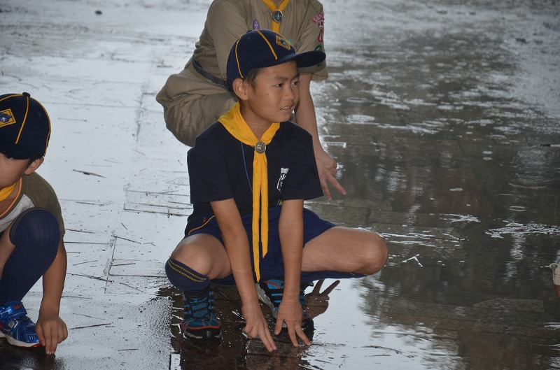 DSC_4412.jpg