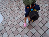 P9150139_thumb.png