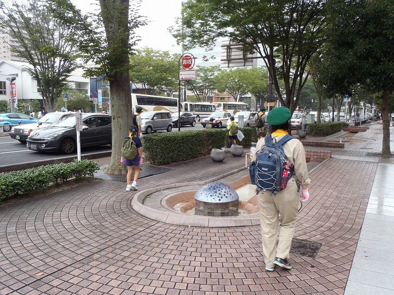 P9150140.jpg