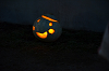 DSC_6364_thumb.png