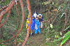 DSC_6554_thumb.png
