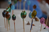 DSC_6600_thumb.png