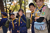 DSC_7067_thumb.png