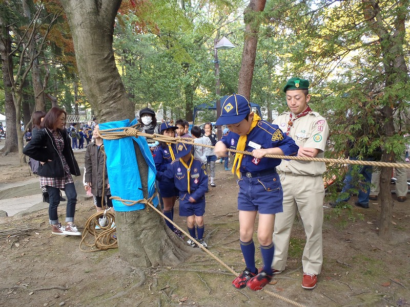 PB030119.jpg