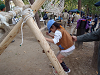PB030129_thumb.png