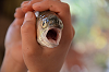 DSC_7500_thumb.png