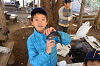 DSC_7503_thumb.png