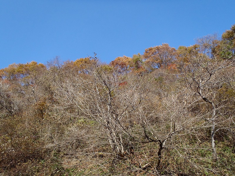 PB170074.jpg