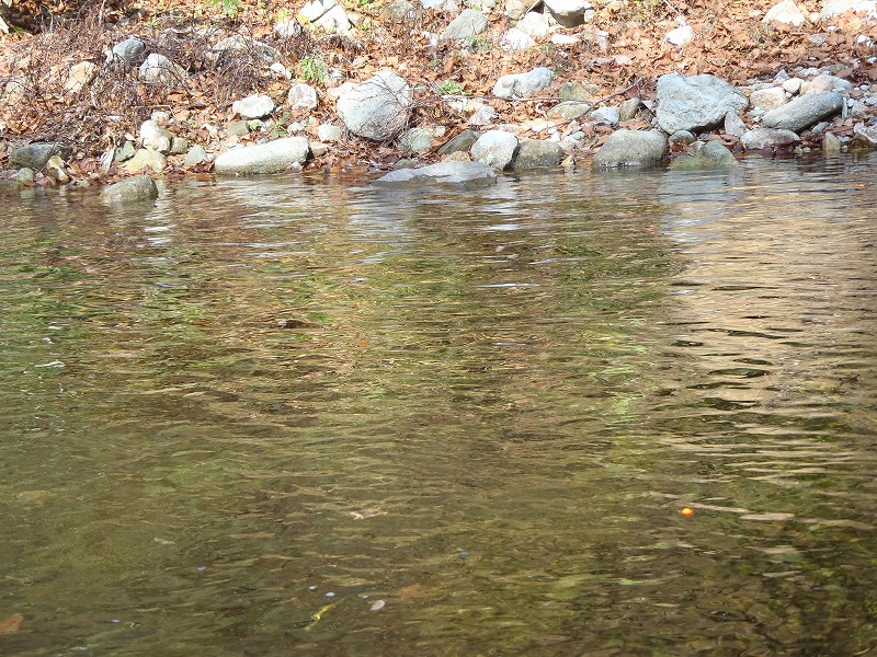 PB170075.jpg
