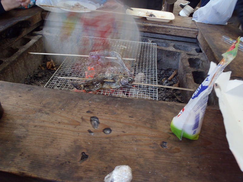 PB170081.jpg