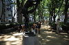 DSC_2326_thumb.png