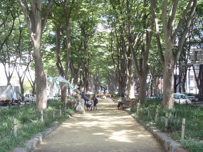 P9070131.jpg