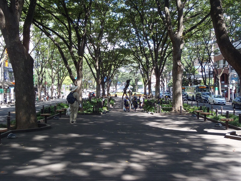 P9070137.jpg