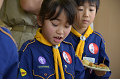 DSC_0010_thumb.png