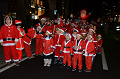 DSC_0311_thumb.png