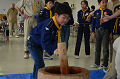 DSC_0731_thumb.png