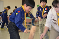 DSC_0774_thumb.png