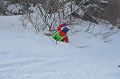 DSC_3926_thumb.png