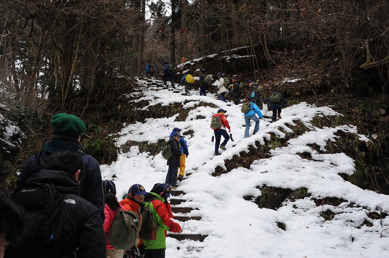 DSC_2774.jpg