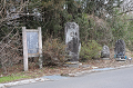 DSC_2930_thumb.png
