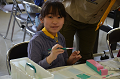 DSC_5237_thumb.png