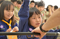 DSC_3819_thumb.png