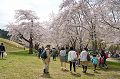 DSC_4255_thumb.png