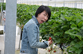 DSC_4487_thumb.png