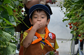 DSC_4512_thumb.png