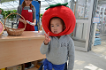 DSC_4547_thumb.png