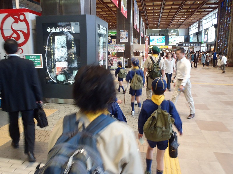 P5310002.jpg