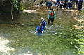 DSC_7220_thumb.png