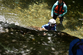 DSC_7236_thumb.png
