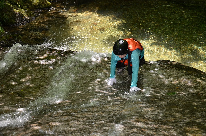 DSC_7245.jpg
