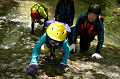 DSC_7323_thumb.png
