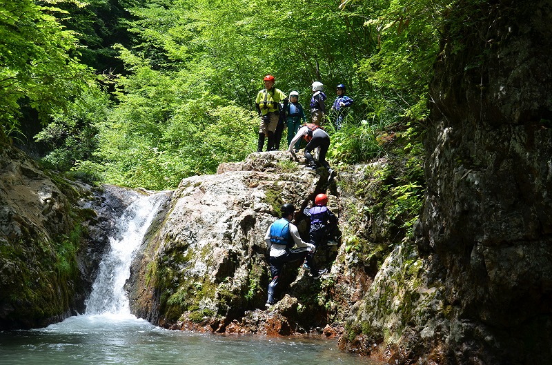 DSC_7394.jpg