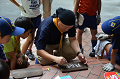 DSC_7888_thumb.png