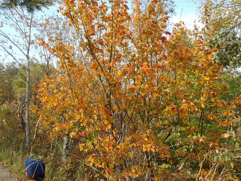 PA240128.jpg