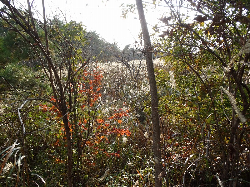 PA240129.jpg
