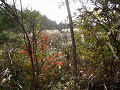 PA240129_thumb.png