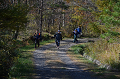 DSC_0710_thumb.png