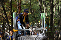 DSC_3399_thumb.png