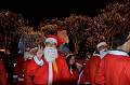 DSC_2272_thumb.png