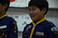 DSC_4948_thumb.png