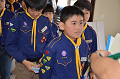 DSC_5296_thumb.png