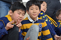 DSC_6631_thumb.png