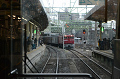 DSC_1790_thumb.png