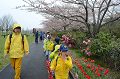 DSC_1801_thumb.png