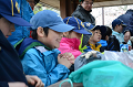 DSC_1821_thumb.png